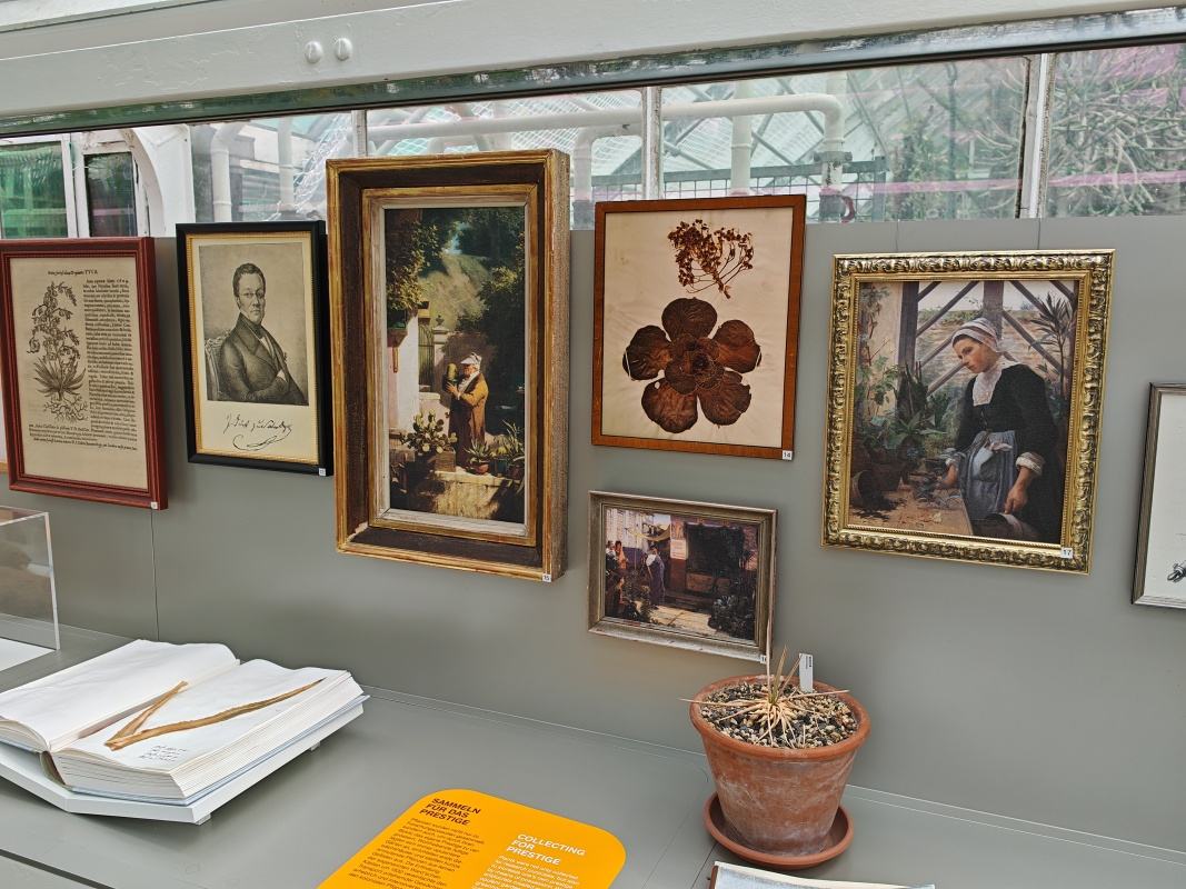 Skleníky so sukulentami