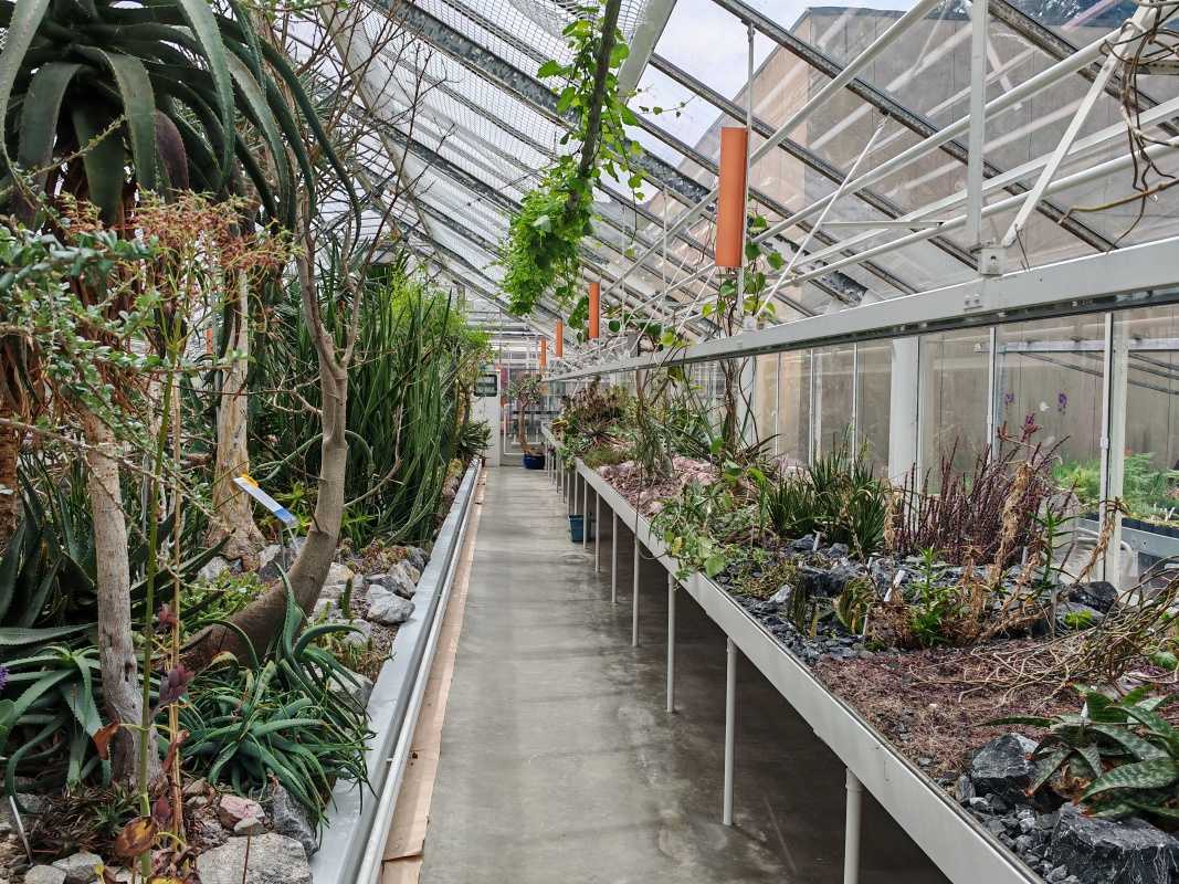 Skleníky so sukulentami