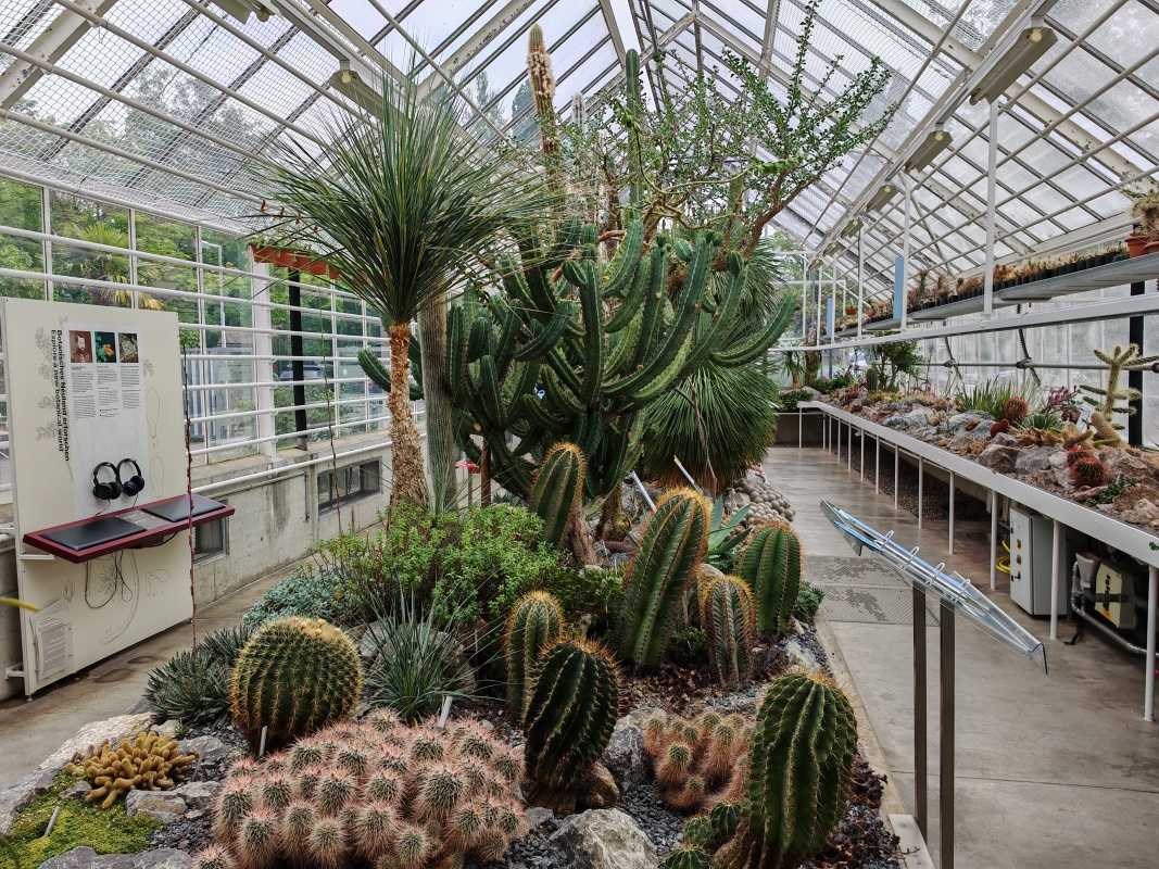 Skleníky so sukulentami