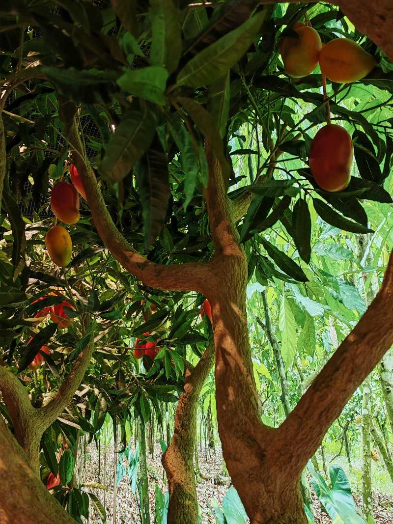 Lindt Home of Chocolate